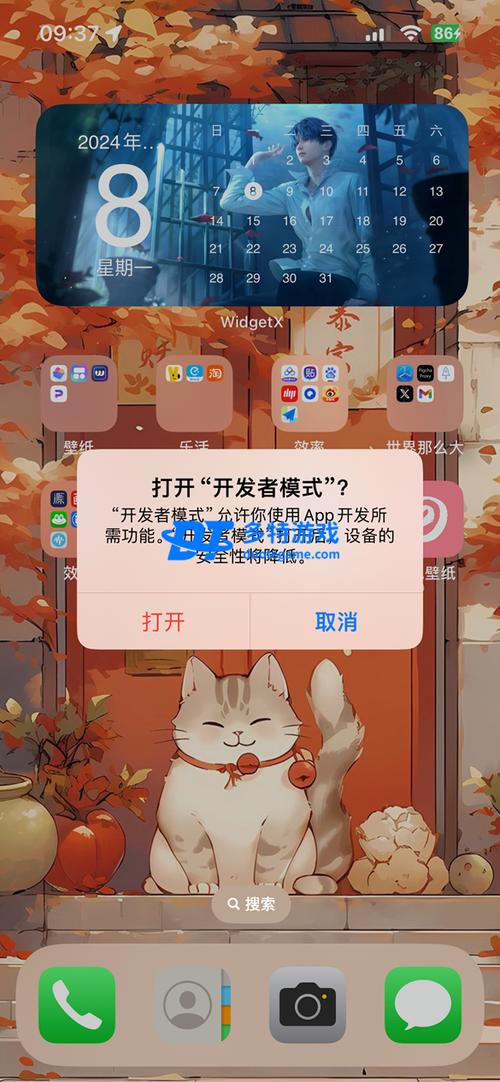 苹果手机开发者模式在哪图标