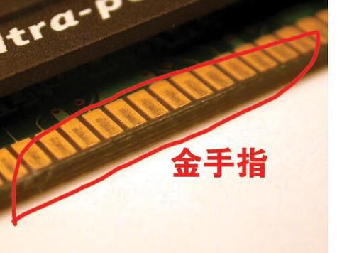 金手指为什么叫金手指