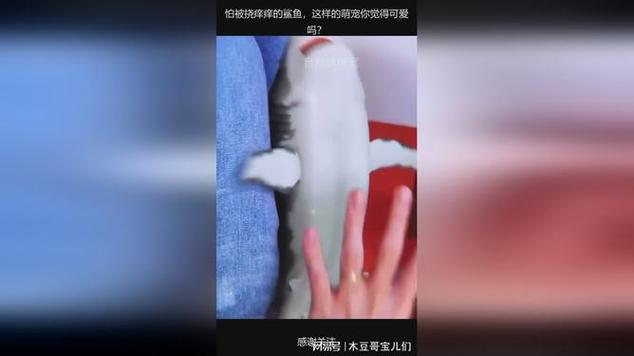 挠痒痒的鲨鱼妹妹脚底板图标