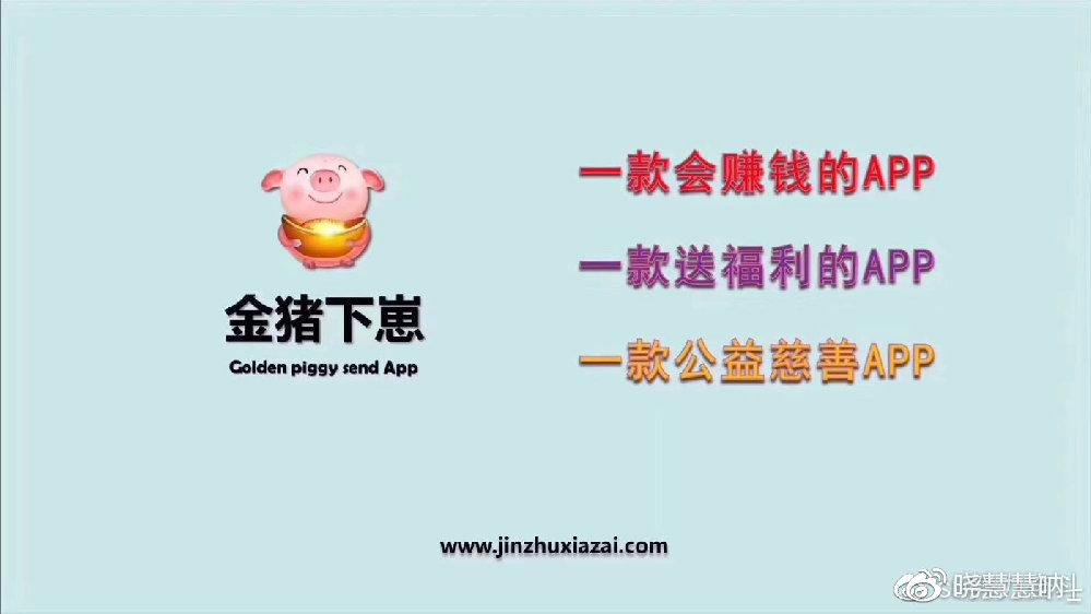 金猪下崽是什么