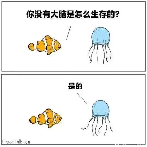 meme梗图怎么读