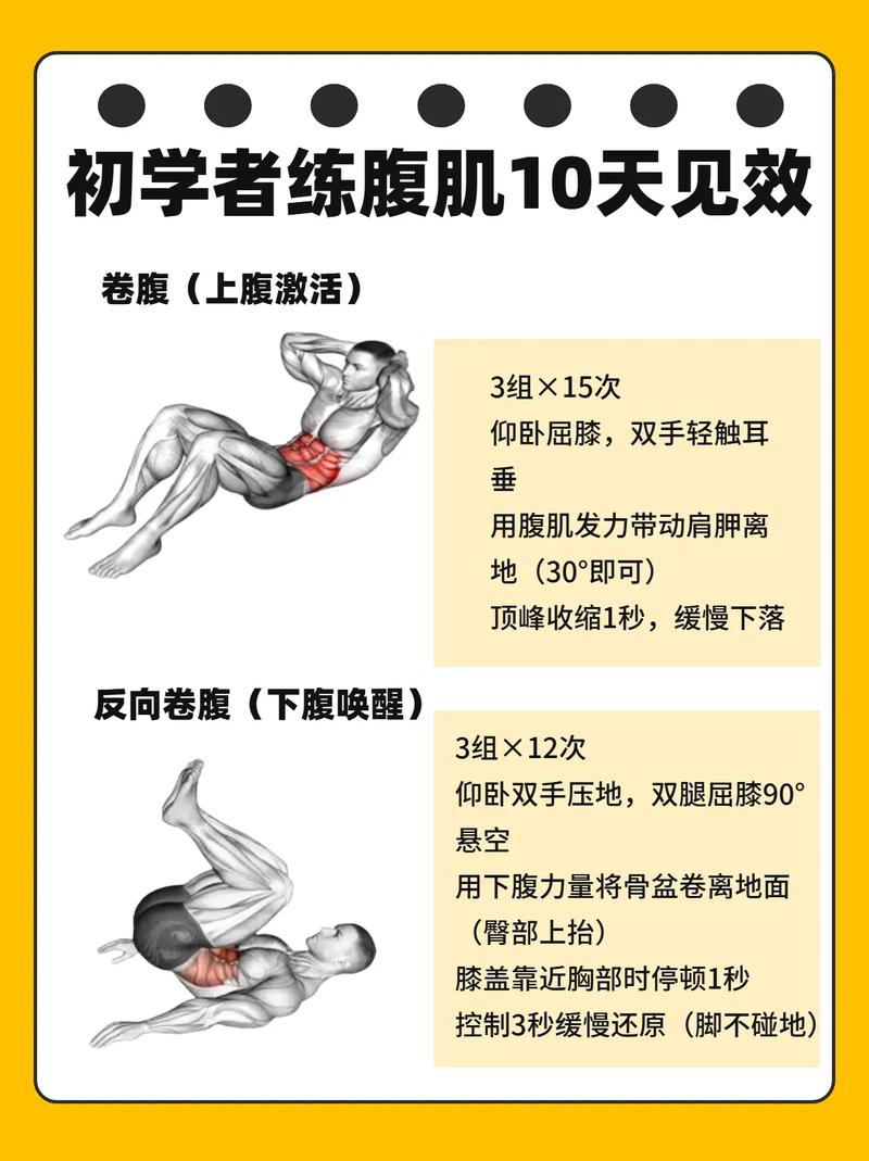 pbctv腹肌软件