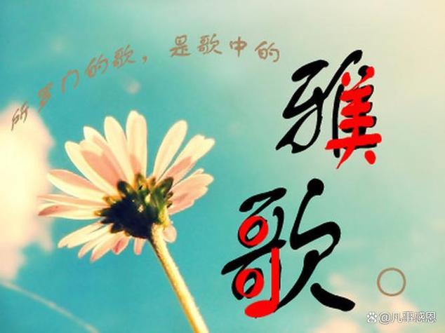 雅歌书缩略图