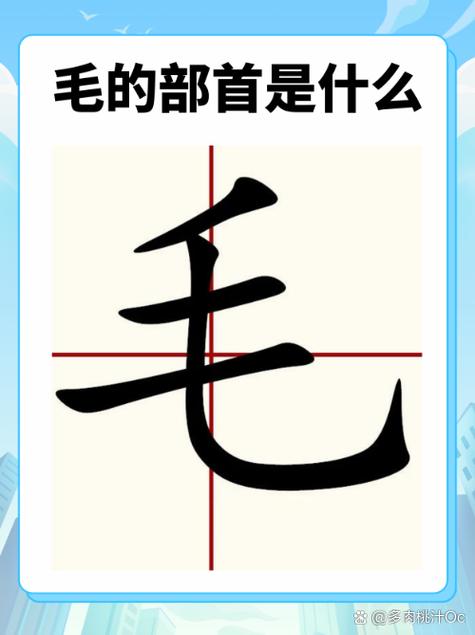毛字加偏旁组词语缩略图