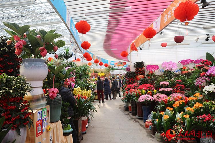 北京花乡花卉市场电话缩略图