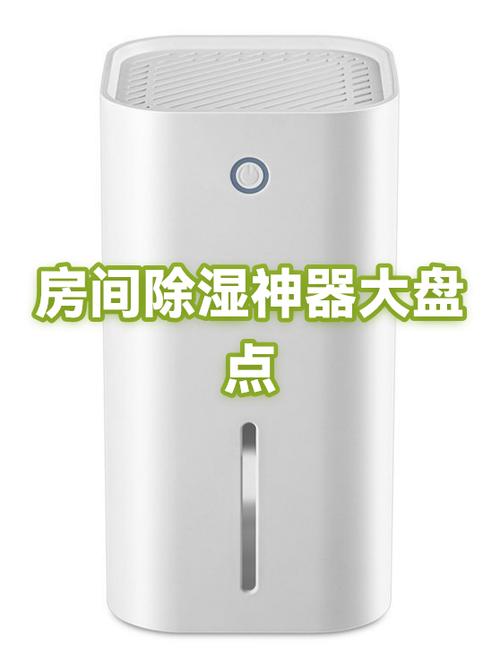 潮湿的房间放什么东西除湿
