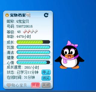 qq宠物还在