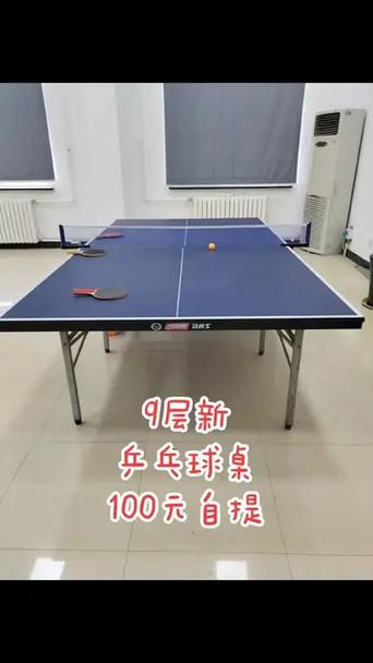 二手乒乓球桌100元