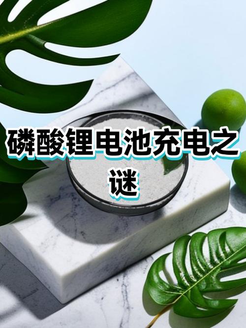为什么充电好慢还倒电