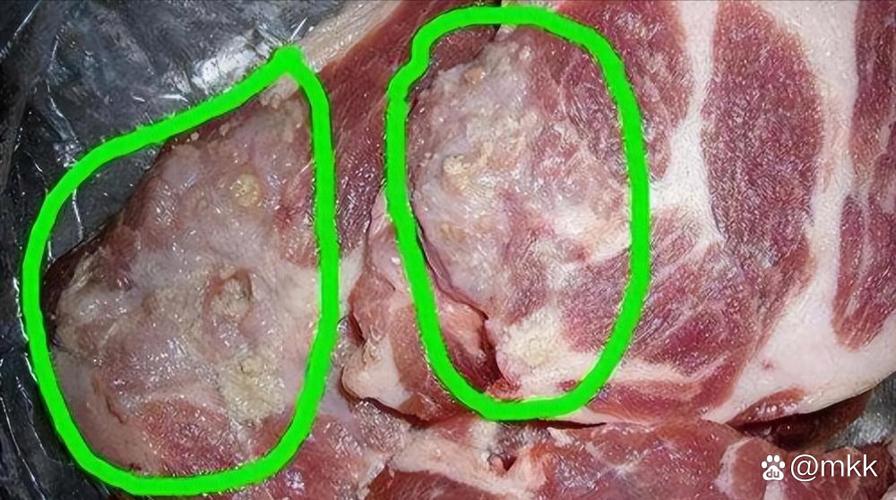 猪肉白色粘稠物图标