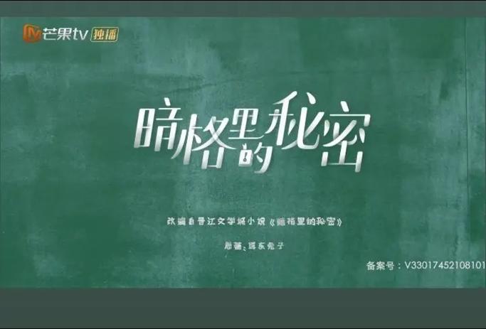 暗格里的秘密txt网盘
