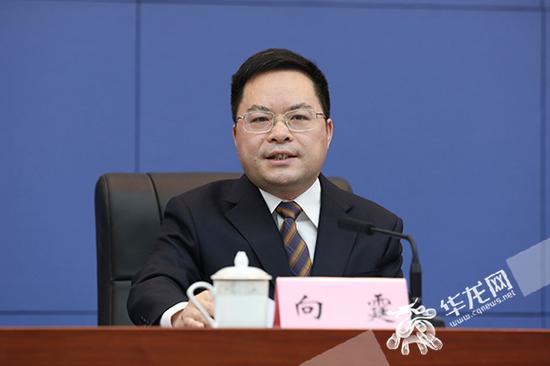 重庆环保局局长游戏截图