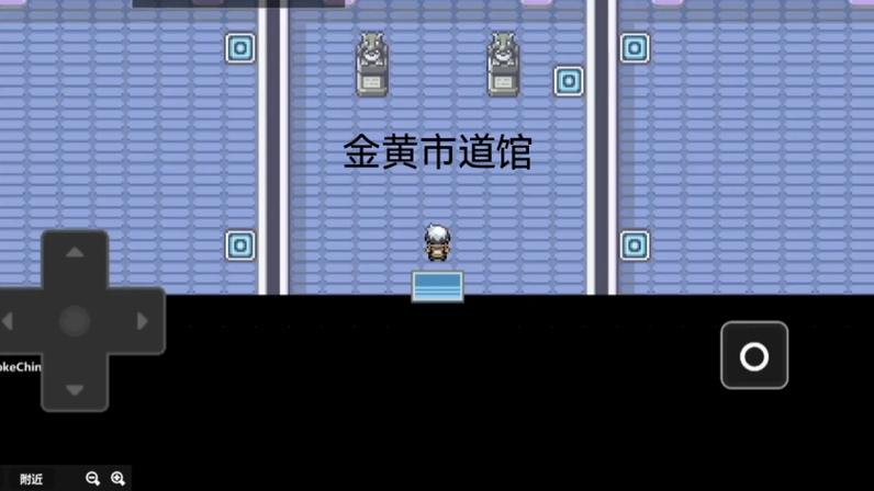 口袋妖怪特别篇赤金黄市之后