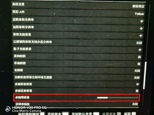 荒野大镖客21050ti画面设置50帧截图