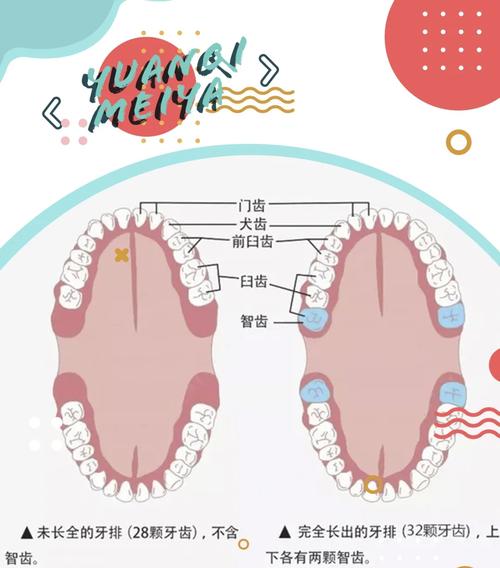牙牙努力值刷什么