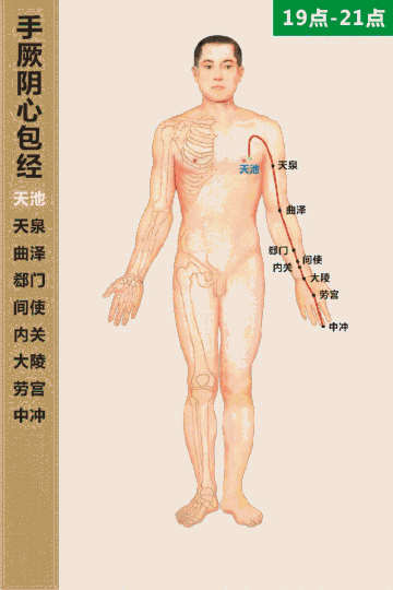 心包经经络图走向缩略图