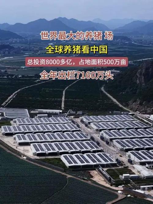 全球养猪最先进的国家