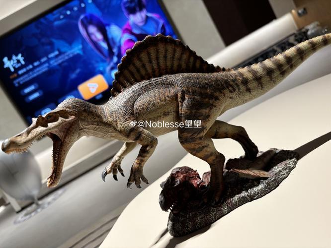 新小宝的玩具