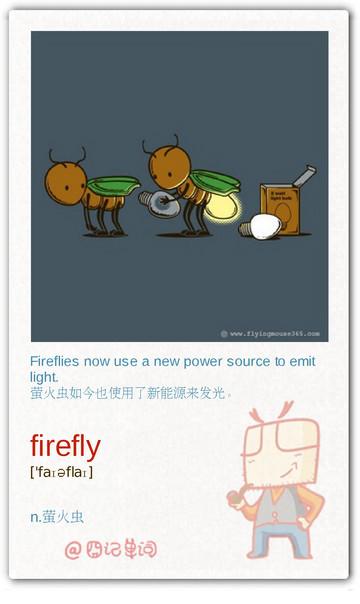 firefly萤火虫
