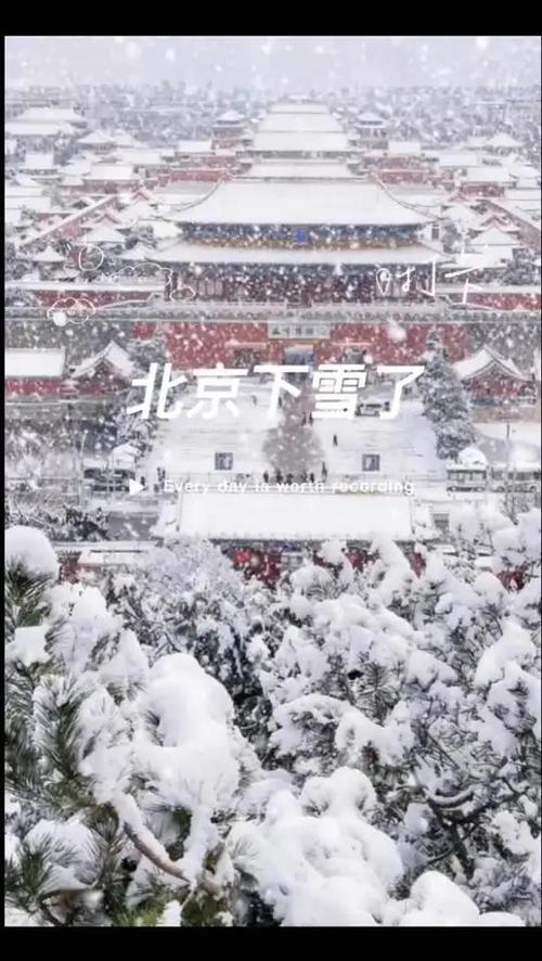 北京下雪最新情况今天
