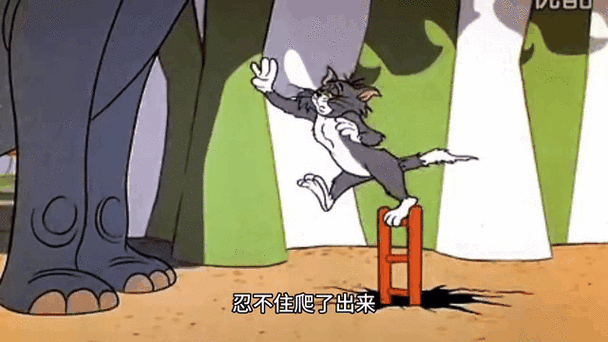 在猫和老鼠中知己第一是