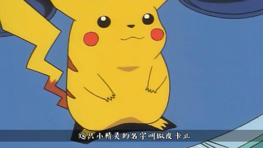 精灵宝可梦一口气看完