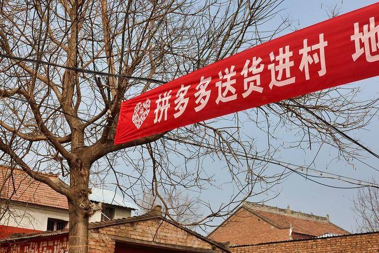 哪个快递可以直接送到村子里