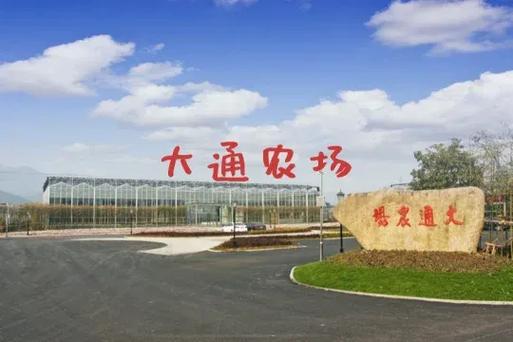 区块农场