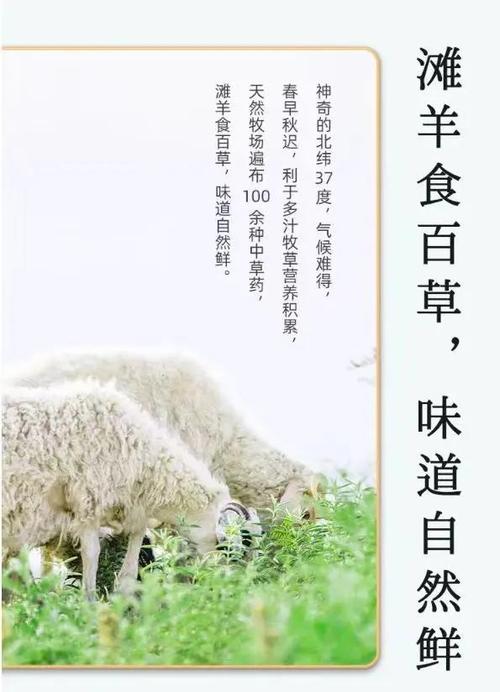 无忧牧场简介