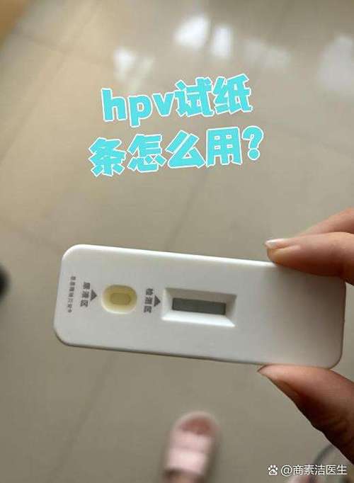 hpv查一次多少钱