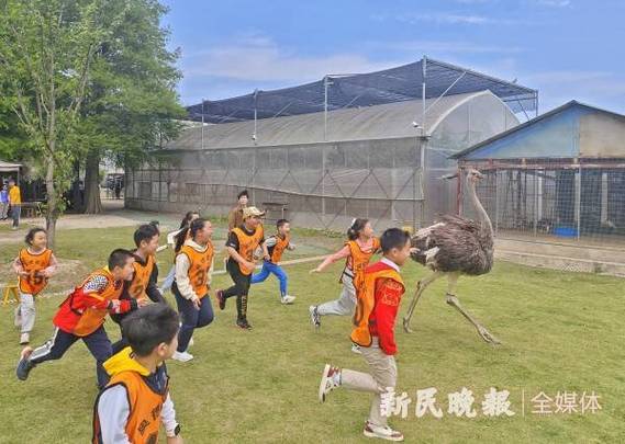 趣味农庄靠谱吗