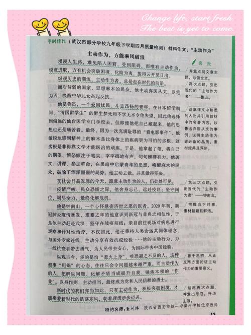 优美文章加批注