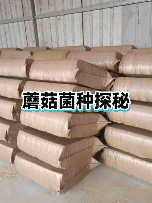 泰拉瑞亚蘑菇种子怎么弄
