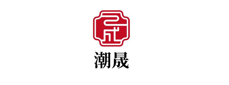 上海潮晟文化传播有限公司图标