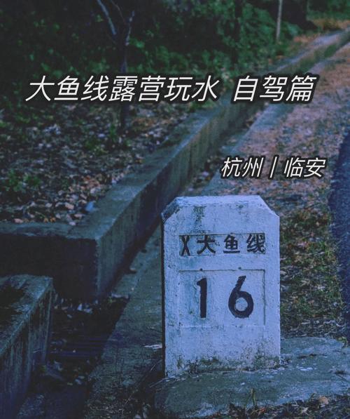 大鱼线起点和终点