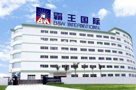 霸王公司简介