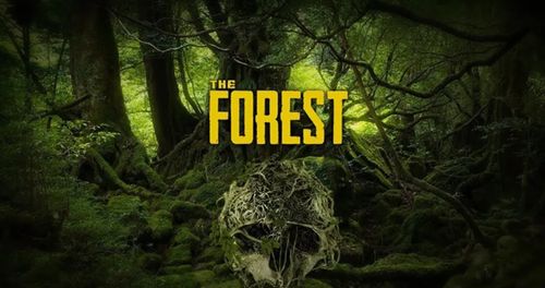 steam森林英文