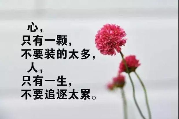 经典句子句句精辟