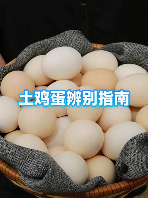 鸡蛋壳粗糙好还是光滑的好