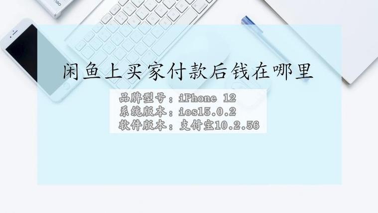 闲鱼支付后钱在哪里
