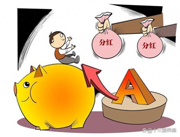 008163以后能稳定分红吗