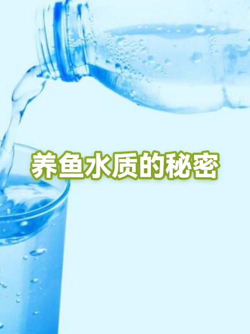 女生养鱼是什么意思