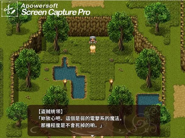 暗精灵编年史堕落攻略缩略图