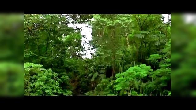 电影绿色地狱被劈两半的被删了吗截图