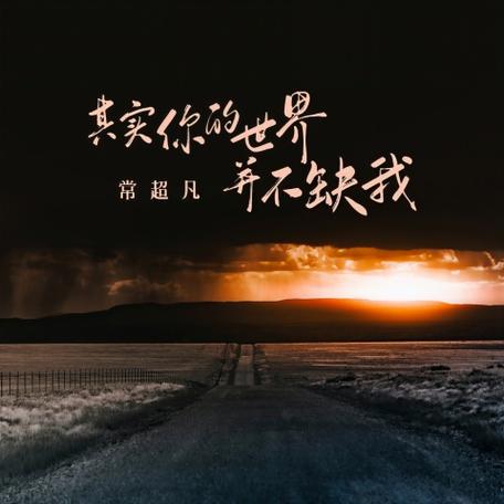 你的世界不缺我一个缩略图
