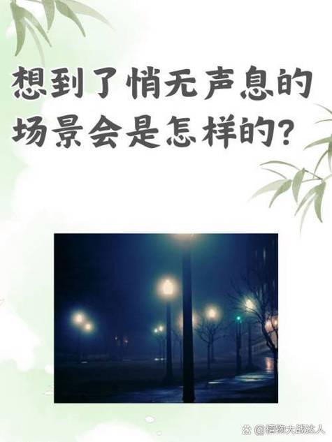 悄悄关联老婆的qq他会知道吗图标