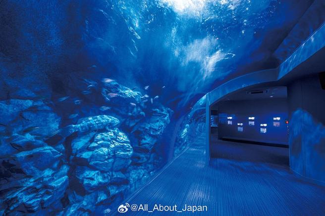附近水族馆