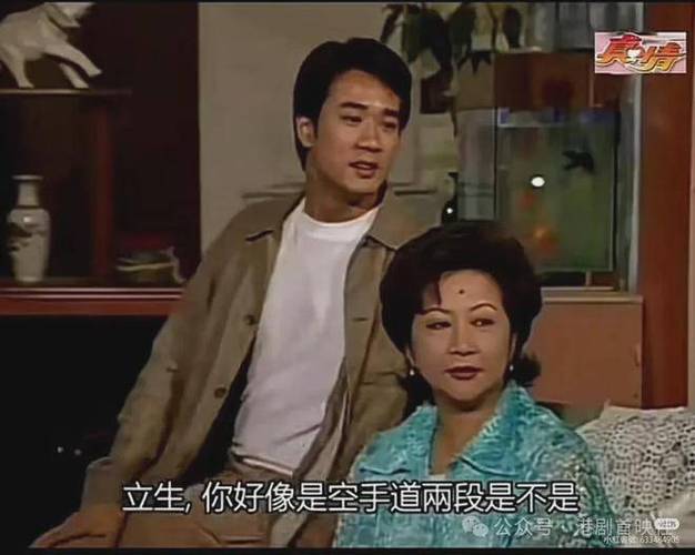 中年人的港剧推荐