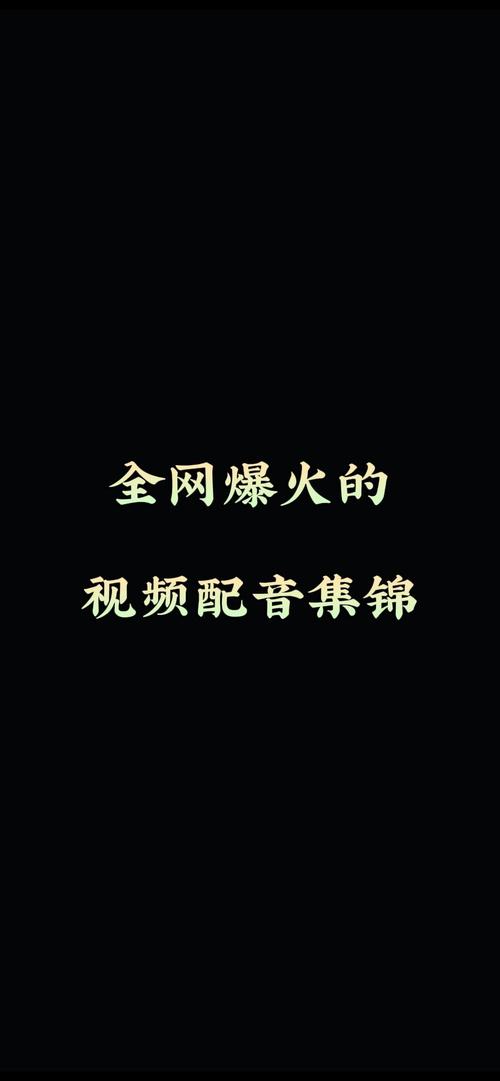 如何生成你做配音的视频