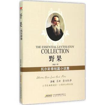 野果小说